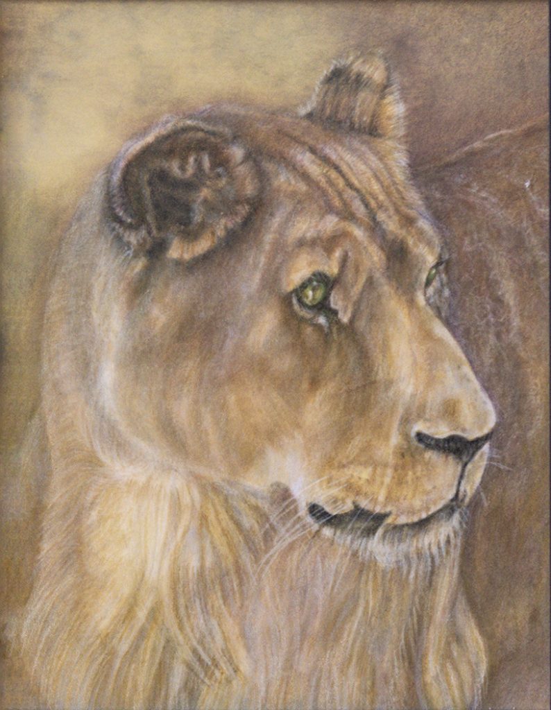 Portrait of a Lioness Evelyn Rivera